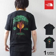 海外限定モデル ノースフェイス Tシャツ THE NORTH FACE Tシャツ 半袖 メンズ トップス バックプリント ロゴ USライン nf0a8b0c