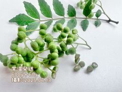 【終盤10%OFF】常温発送　夢農場　実山椒　600g+60g　長野県産　朝倉山椒