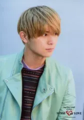 【中古】生写真(ジャニーズ) Hey! Say! JUMP/山田涼介/バストアップ・衣装緑紺・体正面/「Hey! Say! JUMP LIVE TOUR SENSE or LOVE」オリジナルフォトセット