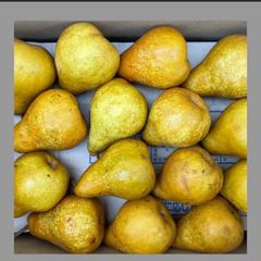 硬い桃　10キロ　クール便込み 硬い桃】箱込10kg クール便 送料無料！ - メルカリ