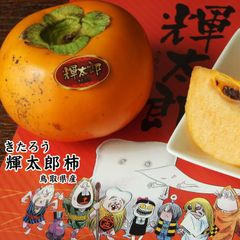 ☆10月中旬より収穫次第予約順に発送☆鳥取県産 輝太郎柿(きたろう)訳あり6kg程度(12-24玉入り)カキかき柿