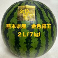 【産地直送・金色大玉すいか・６／１０以降発送可】熊本県産大玉スイカ　金色羅皇　２L　７㎏　正規品　秀品