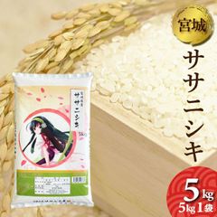 令和6年産　宮城県産　ササニシキ　5kg