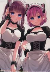 [중고] 클리어 파일 타키모토 히후미 & 모치즈키 단풍 A4 클리어 파일 [코믹스 NEW GAME! 13] 멜론 북스 구입 특전
