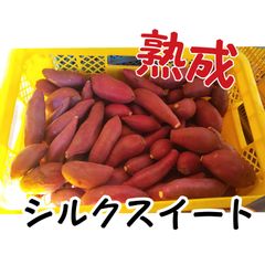 しろほろり AB品 5キロ さつまいも - メルカリ