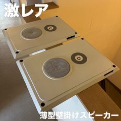 希少品] Lo-D HS-P1 壁掛 薄型 スピーカー 展示未使用品 動作確認済み