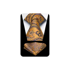 [HISDERN] オレンジ ネクタイチーフ セット メンズ ペイズリー柄 おしゃれ ネクタイ 結婚式 ビジネス プレゼント 二次会 礼服用 高級 派手