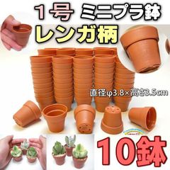 1号鉢1.5号鉢別売で黒色緑色茶色あり●平日＊日中注文即日発送-1号鉢ミニプラ鉢[レンガ柄レンガ模様]10鉢＊1寸鉢＊多肉植物・塊根植物コーデックス・アガベ・サボテン・盆栽・観葉・ハオルチア・アデニウム・パキポディウム・実生・一寸鉢10個＠フラワーショップ江口