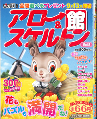 ★在庫一掃セール★アロー＆スケルトン館　Vol.8