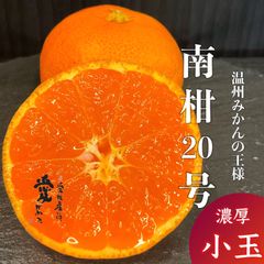愛媛産　味濃い玉津みかん　南柑20号　濃厚な小玉　家庭用10kg