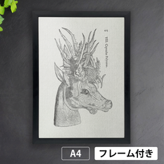 ウリッセ・アルドロヴァンディ（1522-1605）複数の角を持つ鹿　モンスター　怪物誌より　A4 荒い麻布の風合い【フレーム付】《AS》