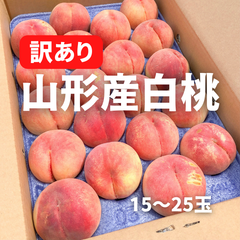 山形県産　白桃　訳あり　15〜25玉
