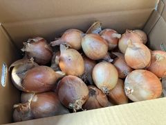 《予約販売・6月下旬 / 訳あり》納豆菌栽培 淡路島産玉ねぎ 3kg【兵庫県淡路島産】