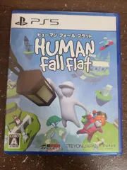 【PS5】ヒューマンフォールフラット
