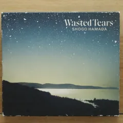浜田省吾 Wasted Tears LP盤　帯付き　ポストカード無し 浜田省吾 Wasted Tears LP盤 帯付き ポストカード無し Amazon.co