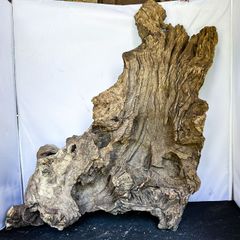珪化木 木化石 大型 造園 希少品 - メルカリ