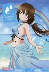 【中古】ポストカード 桜坂しずく 描き下ろしイラストポストカード 「くじ引き堂 ラブライブ！虹ヶ咲学園スクールアイドル同好会 オンラインくじ Ver.LoveLive!Days～ニジガク～」 10連セット購入特典 後半