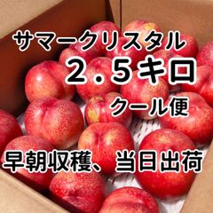 【7月上中旬発送】サマークリスタル（長野生まれのネクタリン）2.5kg 早朝収穫、同日出荷、クール配送
