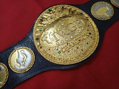 初代IWGPジュニアヘビー級選手権王座　鋳造チャンピオンベルト 初代IWGPジュニアヘビー級選手権王座 鋳造チャンピオンベルト - メルカリ