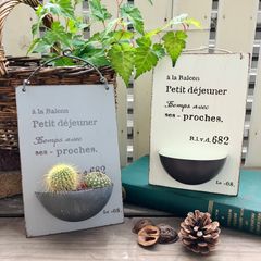 ブリキ 壁掛けプランター 多肉植物 鉢 サボテン ガーデン雑貨 アンティーク