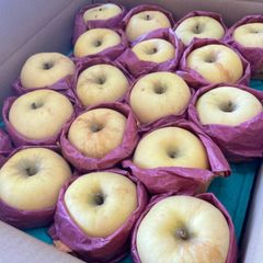 家庭用はるかりんご　10k箱　サビ有　青森弘前つがる