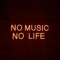 【限定50%OFF】NO MUSIC NO LIFE ☓ ネオンサイン / ネオン管 / ネオンライト / インテリア照明