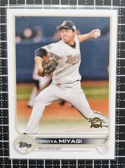 Item thumbnail for item 3549a69c-8f32-4b48-a7b1-d532151ea1c1