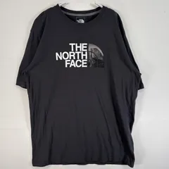 古着 ザ・ノースフェイス THE NORTH FACE 半袖Tシャツ プリント ロゴ アルパイン エクイップメント STANDARD FIT L  グレー メンズ