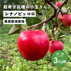 「シナノピッコロ3キロ箱A品B品ミックス」 農林水産大臣賞 りんご 長野県産 安曇野 信州産 産地直送 送料無料 3キロ 箱使用 果物 フルーツ 鮮度抜群 産地直送