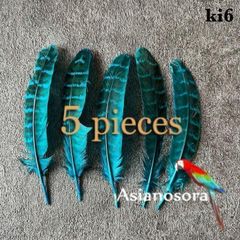 ◾️⭐︎【ki6 アクア】5枚キジ 鳥の羽根 フェザー 素材 パーツ