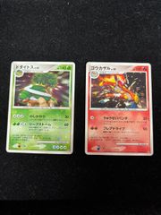 【傷あり2点セット】ドダイトス　ゴウカザル