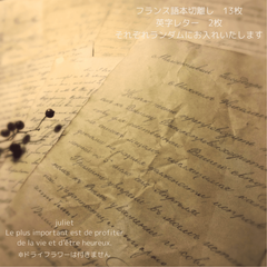 くしゃくしゃ珈琲染めペーパー フランス語本切離し 英字レター ランダム 15枚 フランス洋書 レター 手紙 コーヒー アンティーク風 シャビー シャビーシック ヴィンテージ レトロ 紙 紙ものセット ラッピング おしゃれ クラフト 茶色 ﾊﾝﾄﾞﾒｲﾄﾞ 包装