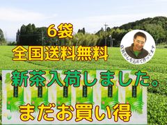 新茶入荷しました‼︎!全国 送料無料 健康  新茶 母の日 八十八夜 お茶  緑茶  くまもと茶  100g✕6袋　迷ったらこれです！　地元でばんばん売れます。
