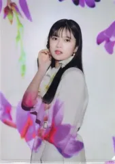 【中古】クリアファイル 寺田蘭世 A4クリアファイル 「春夏秋冬/フォーシーズンズ 乃木坂46」