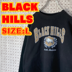 【ヴィンテージ】アウトドア　BLACK HILLS　サウスダコタ州　90's　スウェット　フロントプリント　L　ブラック　US古着　MTSW2310-122