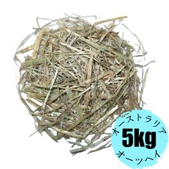 Item thumbnail for item aa6082a1-75cd-4fdb-9645-33c95723176f