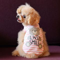犬と生活　クールタンクベアー