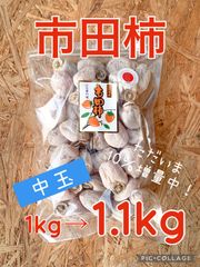 市田柿　徳用1kg→1.1kg（中玉)
