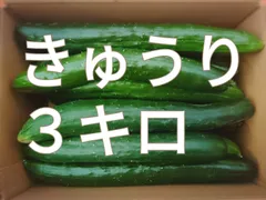 きゅうり☆３キロ☆長崎県産