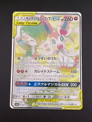 2025年最新】サーナイト&ニンフィアgx srの人気アイテム - メルカリ