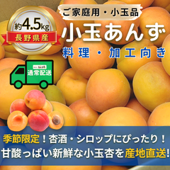 小玉あんず～杏シロップ・杏酒用～【内容量】約4.5kg【配送方法】通常配送【サイズ】L以下【品目】杏（あんず）【品種】当店お任せ【産地】長野県【規格】ご家庭用A品B品混合【詰め方】バラ詰め【配送までの日数】1～4日