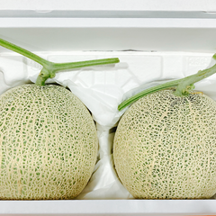 熊本県産 高級 赤肉 メロン 2玉 箱込み 約4kg 秀品（002） 完熟 ギフト プレゼント用 贈答用 お中元 お祝い お見舞い 果物 フルーツ【バイヤー推奨商品】6月上旬以降発送