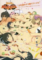 【中古】ゲームミュージックCD デカ盛り 閃乱カグラ パッケージ版先着購入特典 少女達のデカ盛りファイル -ビジュアルブック+全曲入り大盛りサウンドトラックCD-