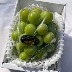 Saka様専用‼️