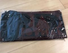 RADWIMPS マフラー 新品 胎盤ツアー