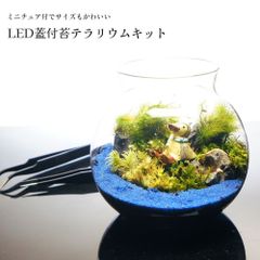 苔庵介る -Scale- - メルカリShops