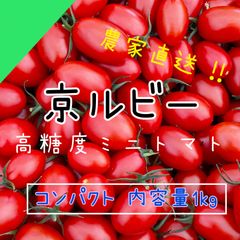 【京ルビー1kg】コンパクト 京都産 フルーツミニトマト