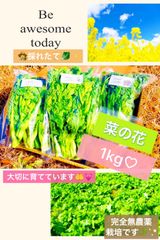 菜の花 1kg クール便❤️CHURANA様専用❤️ - あー♡菜の花 柚子