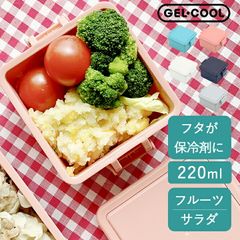 弁当箱 新生活 弁当箱 サラダ スクエア S ジェルクール GEL-COOL クッチーナ 送料無料 弁当箱 フルーツケース 子供 弁当箱 サラダ用 弁当箱 子供 弁当箱 女性 おしゃれ 弁当箱 保冷蓋 弁当箱 夏用 弁当箱 食洗機対応 弁当箱 入園