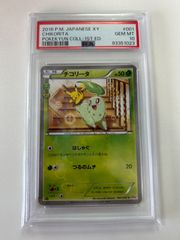 チコリータ PSA10 ポケキュン　ポケモンカード